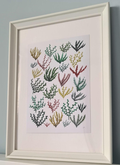 Seaweed A5 Print - £8