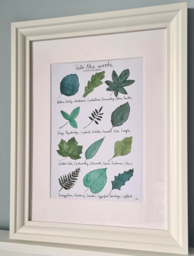 Into The Woods of Devon and Cornwall A4 Print £10